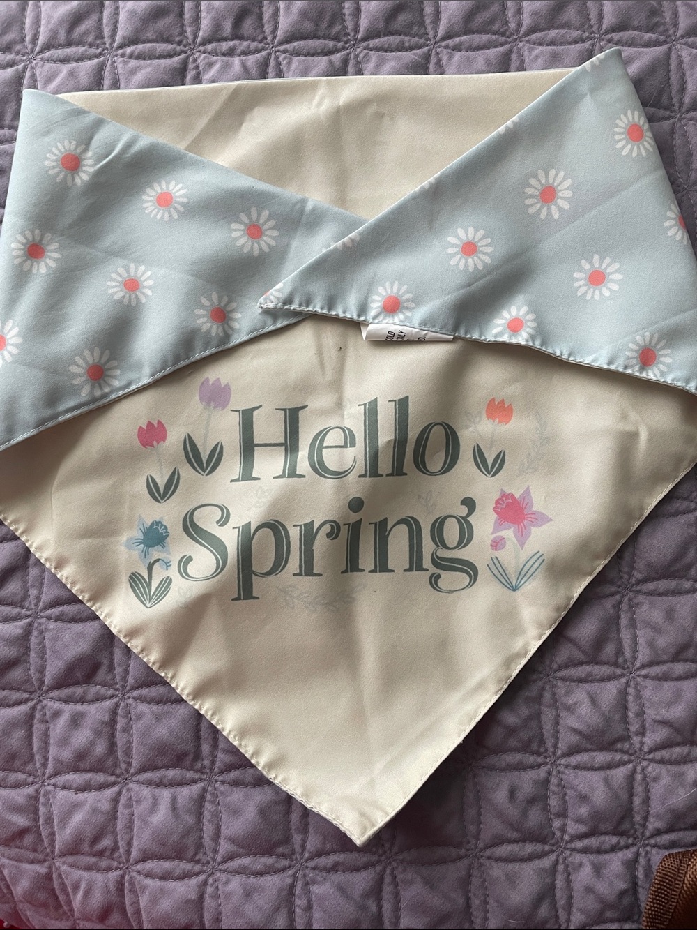 Hello Spring Reversible Bandana